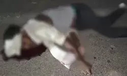 ईंट पहुंचाकर वापस लौटते समय गई जान- ट्रैक्टर से गिरकर मजदूर की मौत ईंट पहुंचाकर वापस लौटते समय गई जान- ट्रैक्टर से गिरकर मजदूर की मौत