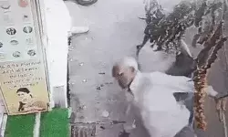 सांड ने सींगो से उछाल बुजुर्ग की रीड की हड्डी तोड़ी- ऑटो रिक्शा से...