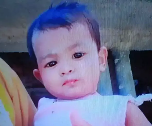 मां की बगल में सो रही बच्ची को भेड़िया जबड़े में दबाकर भागा- घर से.... मां की बगल में सो रही बच्ची को भेड़िया जबड़े में दबाकर भागा- घर से....