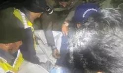 कैंची धाम के दर्शन कर लौट रहे टूरिस्ट से भरा टेंपो ट्रैवलर खाई में गिरा कैंची धाम के दर्शन कर लौट रहे टूरिस्ट से भरा टेंपो ट्रैवलर खाई में गिरा