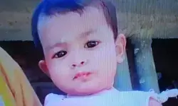 मां की बगल में सो रही बच्ची को भेड़िया जबड़े में दबाकर भागा- घर से.... मां की बगल में सो रही बच्ची को भेड़िया जबड़े में दबाकर भागा- घर से....