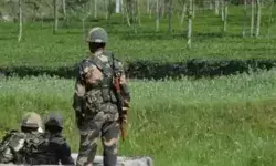 भारत से बांग्लादेश भागने की फिराक में लगे 48 बांग्लादेशी पकड़े गए