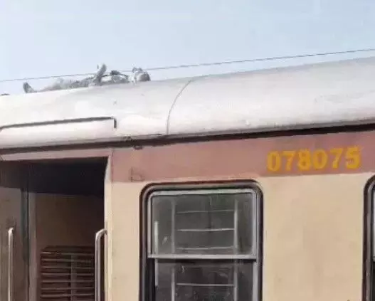 ट्रेन की छत पर चढ़ा व्यक्ति हाई टेंशन तारों की चपेट में आकर जिंदा जला ट्रेन की छत पर चढ़ा व्यक्ति हाई टेंशन तारों की चपेट में आकर जिंदा जला