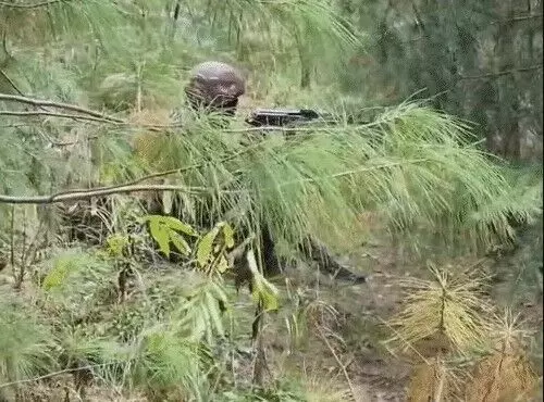 सर्चिंग के दौरान सुरक्षा बलों पर फायरिंग- मुठभेड में दो आतंकी ढेर सर्चिंग के दौरान सुरक्षा बलों पर फायरिंग- मुठभेड में दो आतंकी ढेर