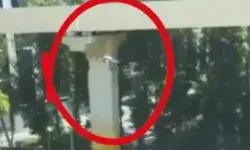 पूर्व सीएम के घर के पास उड़ता दिखा ड्रोन-प्राधिकरण ने दी सफाई