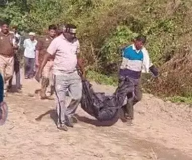 खेत से दबोचकर ले गए किसान को मारकर खा गया बाघ- बिखरे मिले शरीर के..