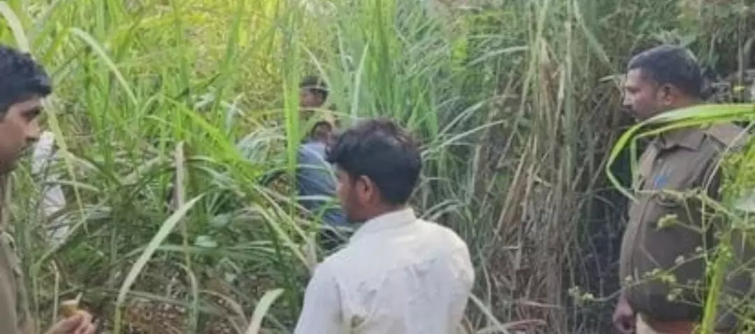 मासूम को उठा ले गया भेड़िया- पूरे इलाके में बना हुआ है भय का माहौल