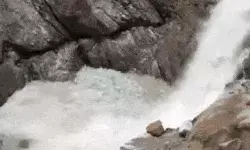 बाबा केदार के दर्शन को आये श्रद्धालु लगा गए 230 टन कचरे का पहाड़ बाबा केदार के दर्शन को आये श्रद्धालु लगा गए 230 टन कचरे का पहाड़