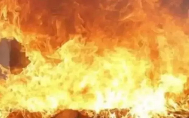 कॉलोनी के पास मैदान में लगी आग में बाइक स्कूटर जलकर हुए खाक कॉलोनी के पास मैदान में लगी आग में बाइक स्कूटर जलकर हुए खाक