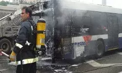 टैंकर से टकराई बस- मक्का से मदीना जा रहे 42 भारतीयों की मौत