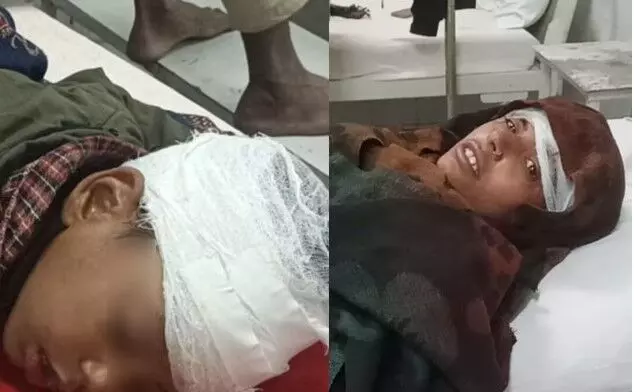 बेटे के लिए लगा दी जान की बाजी- मां से हारकर जंगल में भागा तेंदुआ बेटे के लिए लगा दी जान की बाजी- मां से हारकर जंगल में भागा तेंदुआ