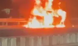 पुल पर नेक्सा में आग-ड्राइवर ने कूदकर बचा ली जान-लैपटॉप एवं डॉक्यूमेंट