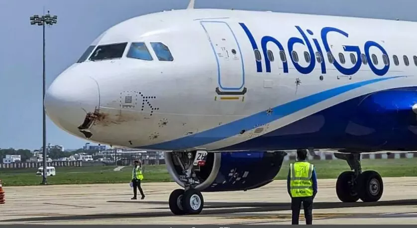 विमान से टकराये पक्षी के उड़े चीथड़े-फ्लाइट में सवार थे 186 पैसेंजर