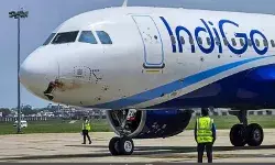 विमान से टकराये पक्षी के उड़े चीथड़े-फ्लाइट में सवार थे 186 पैसेंजर