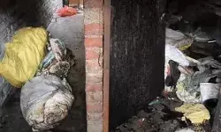 दफ्तर जाने के लिए लंच तैयार कर रही महिला की मौत- सिलेंडर ब्लास्ट से घर दफ्तर जाने के लिए लंच तैयार कर रही महिला की मौत- सिलेंडर ब्लास्ट से घर