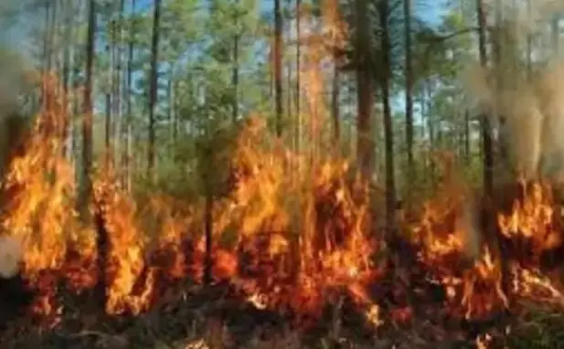 राजवार के जंगलों में आग-चारों तरफ लपटें और धुआं ही धुआं-काबू पाने के.. राजवार के जंगलों में आग-चारों तरफ लपटें और धुआं ही धुआं-काबू पाने के..