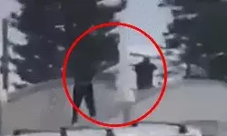 बाॅन्डी बीच पर चली दनादन गोलियां-शूटर समेत 10 की मौत- दो अरेस्ट बाॅन्डी बीच पर चली दनादन गोलियां-शूटर समेत 10 की मौत- दो अरेस्ट