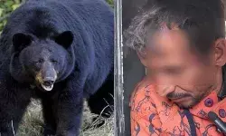 जंगल में घास काट ले जा रहे व्यक्ति पर भालू ने किया हमला-सिर में..