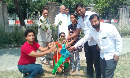 सिटी मजिस्ट्रेट अमित सिंह ने विश्व पर्यावरण दिवस से शुरू किया आॅपरेशन ग्रीन