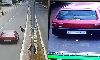 पुरकाजी में हो सकता था बवाल, चेयरमैन के कैमरों ने किया कमाल