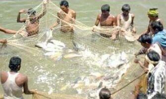 इस वर्ष 10,357 मत्स्य पालकों को किसान क्रेडिट कार्ड उपलब्ध कराने का लक्ष्य