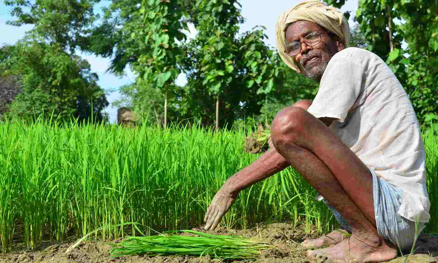 औद्यानिक खेती एवं खाद्य प्रसंस्करण का प्रशिक्षण देकर सरकार बढ़ा रही है, आय के साधन