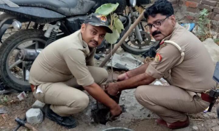 28 वें जन्मदिन पर 28 वृक्ष लगाने का लिया संकल्प