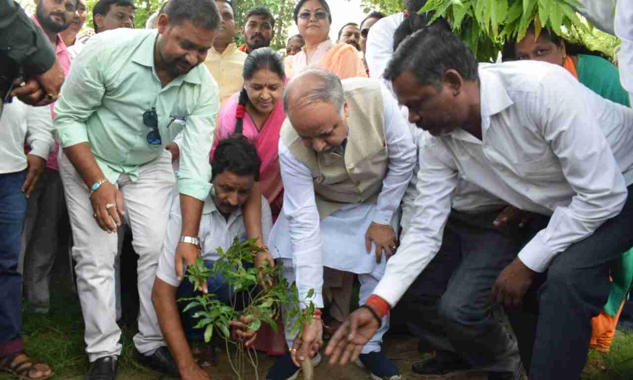 वृक्ष को लगाने के साथ-साथ इनका संरक्षण भी जरूरी - आशुतोष टण्डन