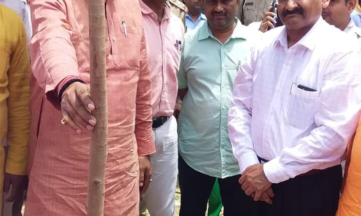 स्वच्छ एवं स्वस्थ पर्यावरण हेतु वृक्षारोपण अत्यंत आवश्यक - मिनिस्टर ब्रजेश पाठक