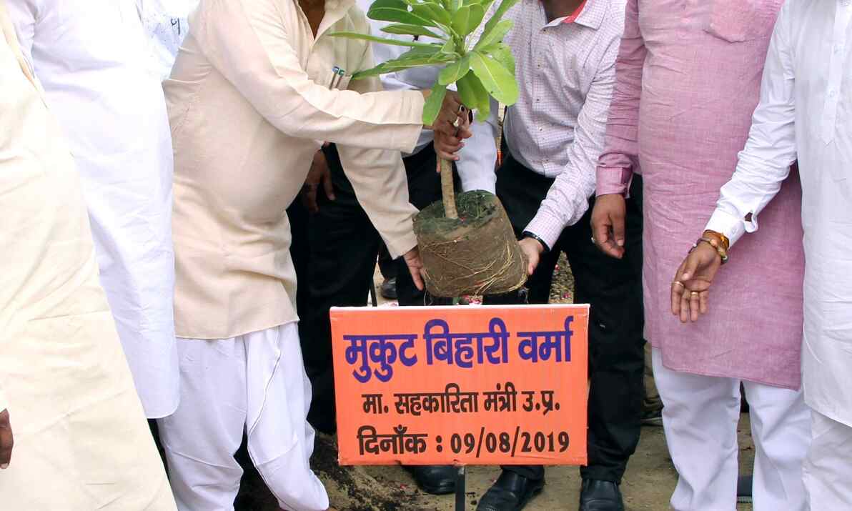 पेड़-पौधे ही पर्यावरण की सुरक्षा करते हैं - मंत्री मुकुट बिहारी