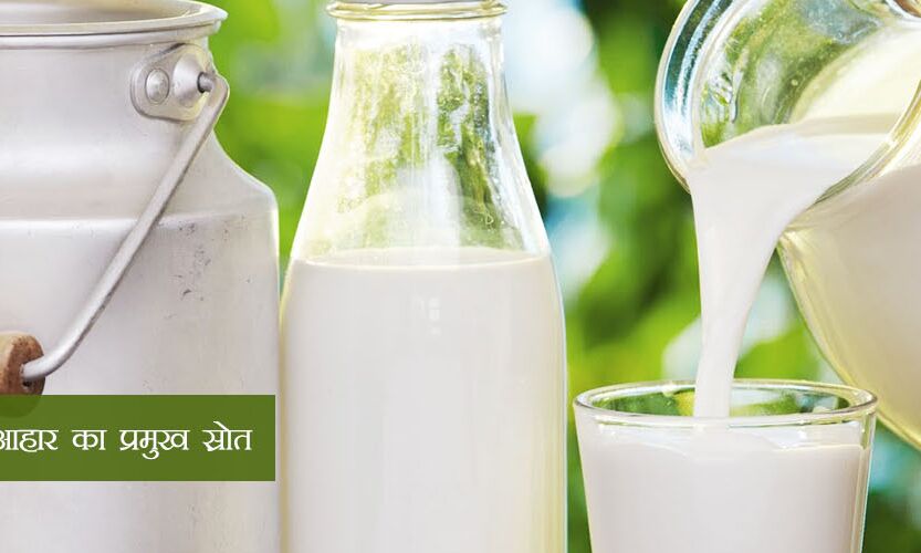 राज्य दुग्ध परिषद को वित्तीय सहायता योजना के तहत अवशेष 43.06 लाख रूपये मंजूर