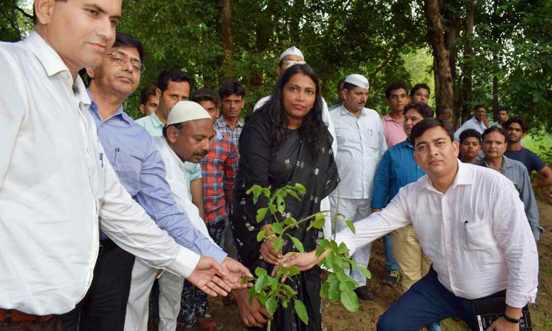 जल शक्ति अभियान के अन्तर्गत कराये जा रहे कार्यो का जिलाधिकारी ने मौके पर जाकर किया निरीक्षण