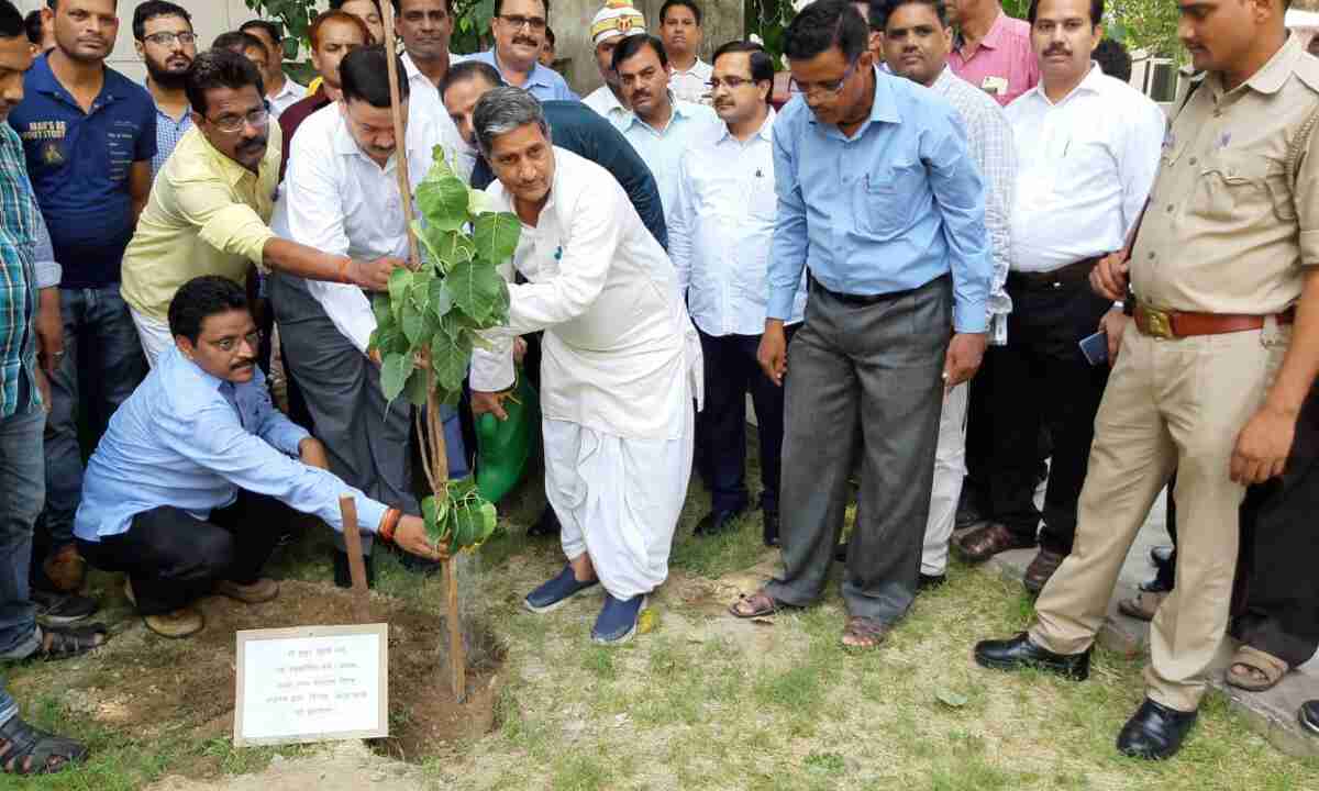 सहकारिता विभाग द्वारा 04 लाख वृक्ष लगाये जायेंगे - मंत्री मुकुट बिहारी वर्मा