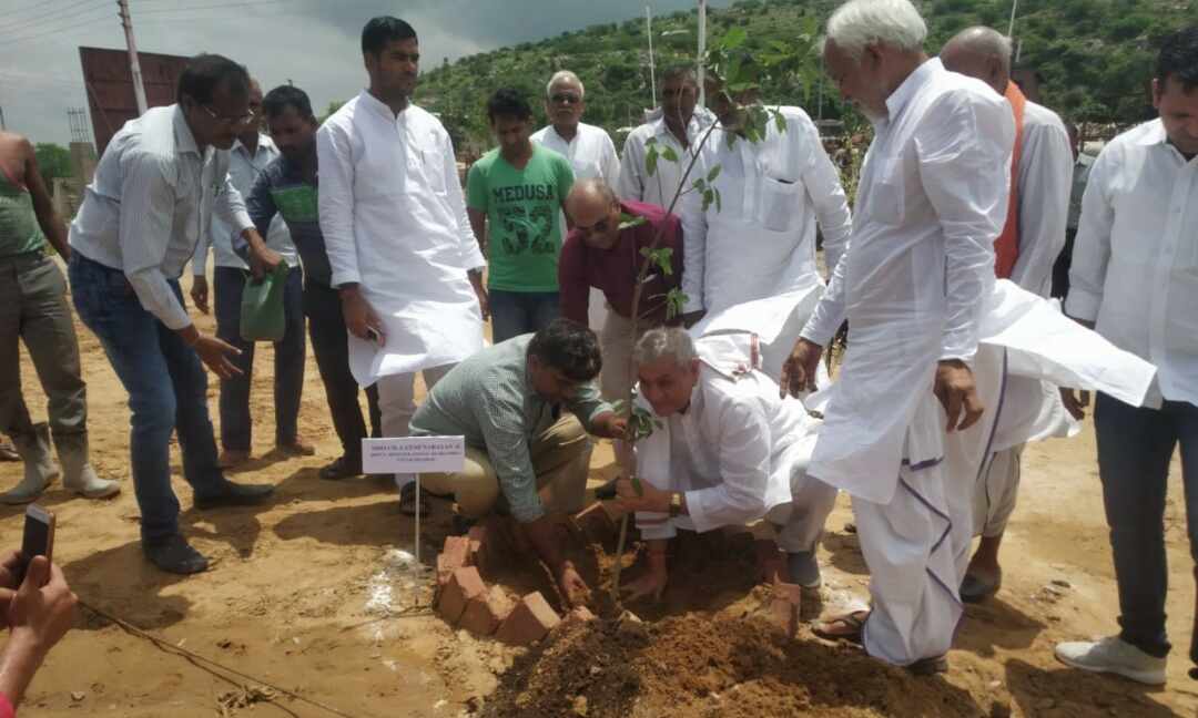 लक्ष्मी नारायण चौधरी ने मथुरा में विभिन्न स्थानों पर किया वृक्षारोपण