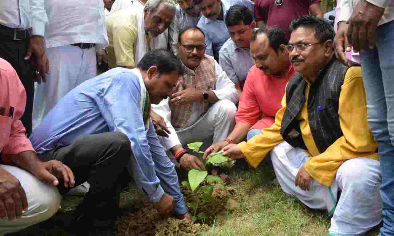 स्वच्छ पर्यावरण में वृक्षों का महत्वपूर्ण योगदान - ब्रजेश पाठक