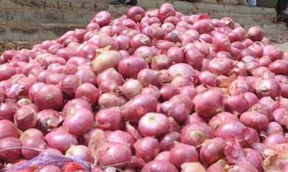 प्‍याज की कीमतों पर अंकुश के लिए सरकार की ओर से ठोस कदम
