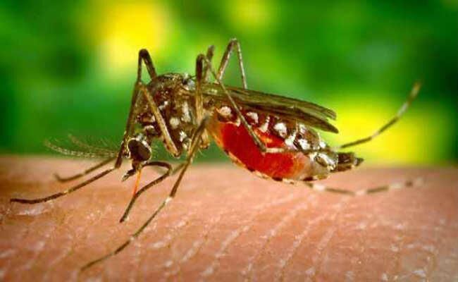 डेंगू एवं चिकनगुनिया पर प्रभावी रोकथाम करने हेतु 05 करोड़ रु0 जारी