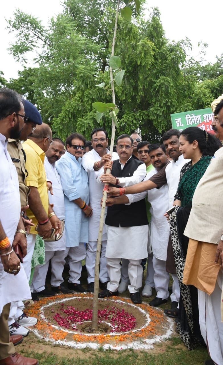 वृक्षारोपण आने वाली पीढियों के लिए वरदान- डाॅ0 दिनेश शर्मा