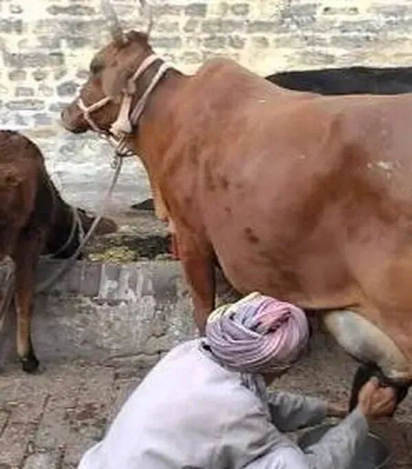 सूचना तकनीक एवं कम्प्यूटरीकरण योजना के तहत 1.50 करोड़ रूपये मंजूर