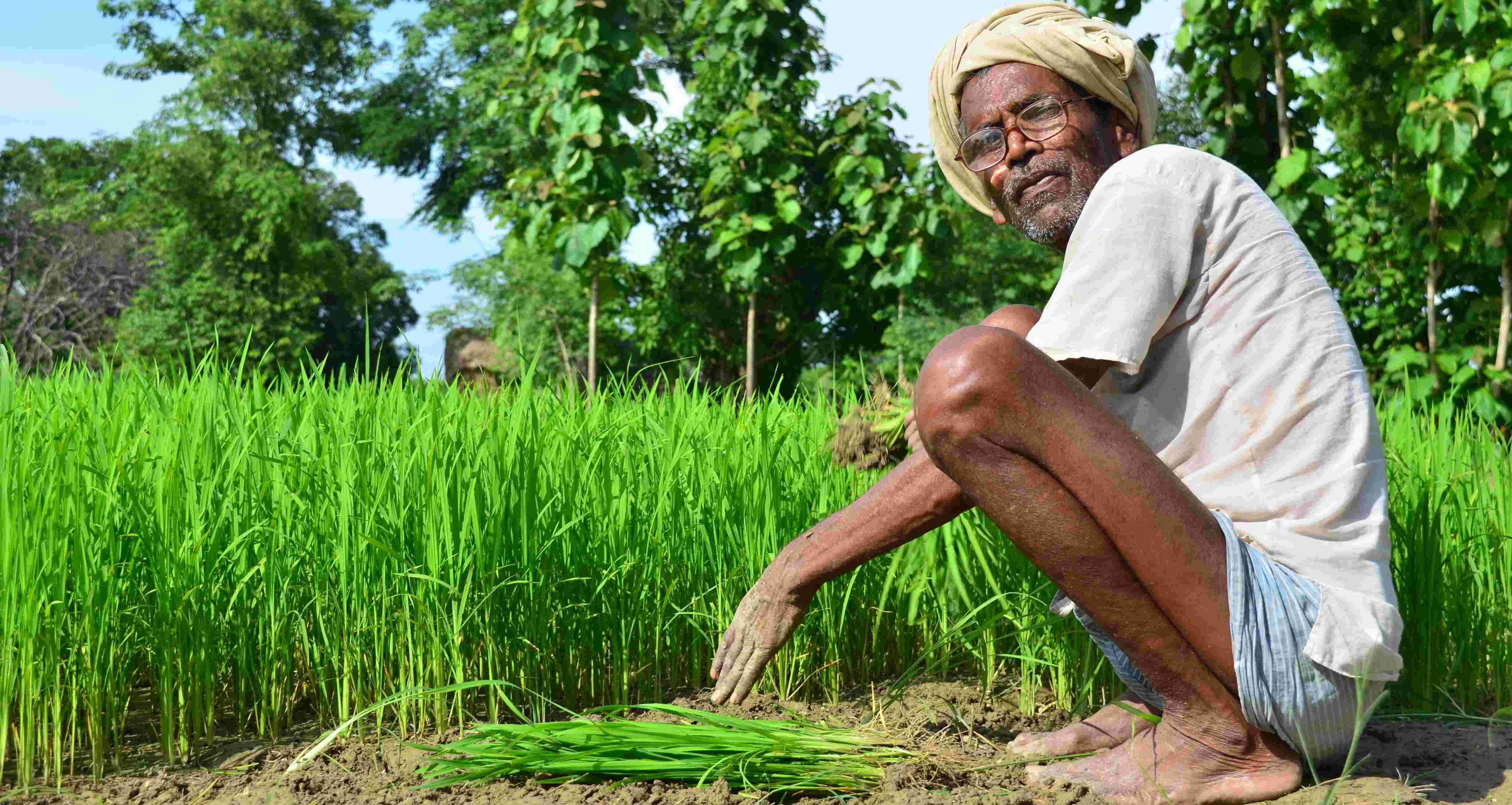 औद्यानिक खेती एवं खाद्य प्रसंस्करण का प्रशिक्षण देकर सरकार बढ़ा रही है, आय के साधन