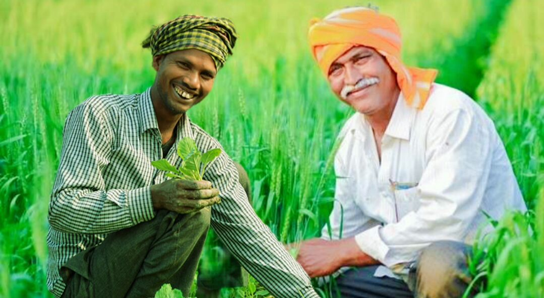 सहकारिता विभाग किसानों की आय वृद्धि मेे महत्वपूर्ण भूमिका निभा रहा है सहकारिता विभाग किसानों की आय वृद्धि मेे महत्वपूर्ण भूमिका निभा रहा है