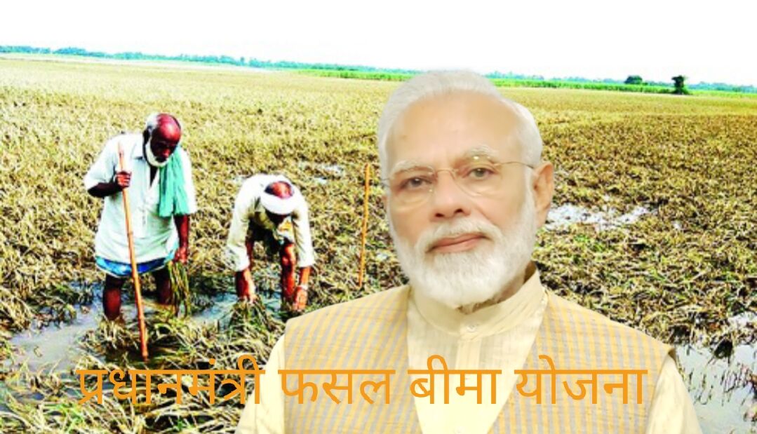 प्राकृतिक आपदाओं से फसल नष्ट होने पर, किसानों की मददगार है, प्रधानमंत्री फसल बीमा योजना