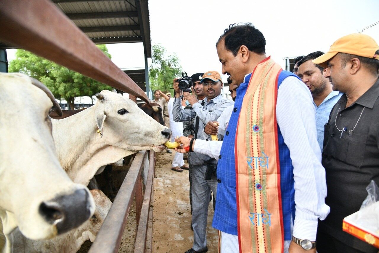 कोसी-गोवर्धन रोड का कार्य शीघ्र होगा पूर्ण - केशव प्रसाद मौर्य कोसी-गोवर्धन रोड का कार्य शीघ्र होगा पूर्ण - केशव प्रसाद मौर्य