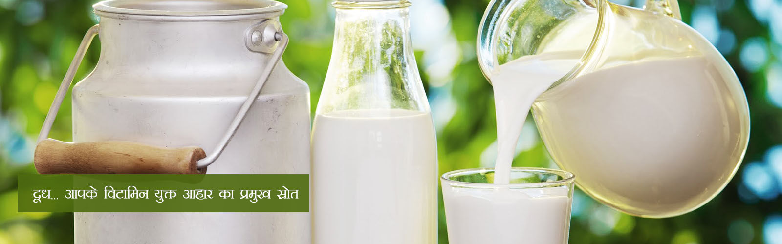 राज्य दुग्ध परिषद को वित्तीय सहायता योजना के तहत अवशेष 43.06 लाख रूपये मंजूर