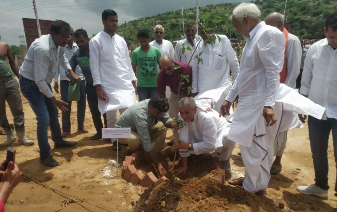 लक्ष्मी नारायण चौधरी ने मथुरा में विभिन्न स्थानों पर किया वृक्षारोपण