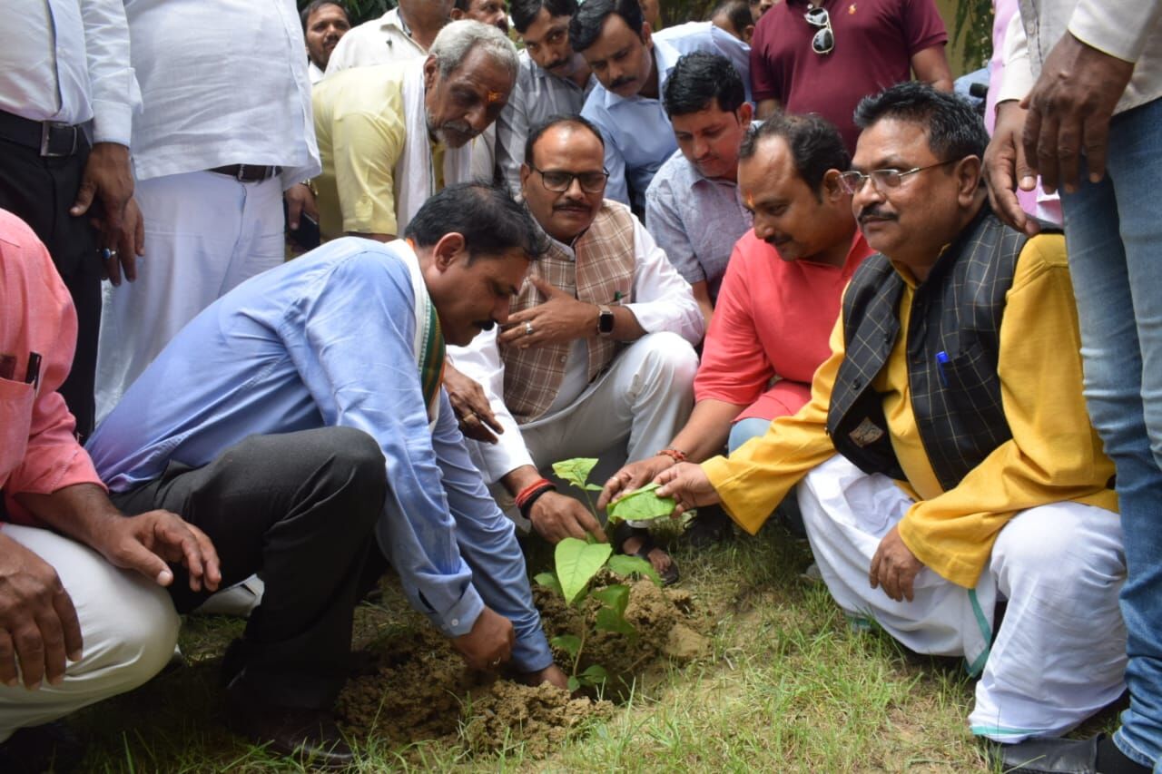 स्वच्छ पर्यावरण में वृक्षों का महत्वपूर्ण योगदान - ब्रजेश पाठक स्वच्छ पर्यावरण में वृक्षों का महत्वपूर्ण योगदान - ब्रजेश पाठक