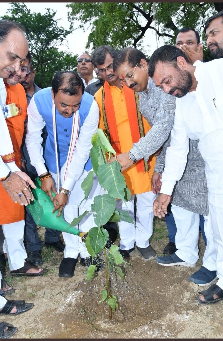 वृक्षारोपण कर पर्यावरण संरक्षण एवं संवर्द्धन में जनता करे सहयोग वृक्षारोपण कर पर्यावरण संरक्षण एवं संवर्द्धन में जनता करे सहयोग