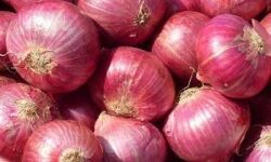 केन्द्र सरकार ने प्‍याज की कीमतों में वृद्धि पर अंकुश के लिए अनेक महत्‍वपूर्ण निर्णय लिए