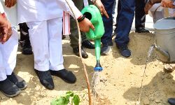 उप मुख्यमंत्री ने नैनी क्षेत्र में चल रहे वृक्षारोपण कार्यक्रम में पीपल का पौधा किया रोपित उप मुख्यमंत्री ने नैनी क्षेत्र में चल रहे वृक्षारोपण कार्यक्रम में पीपल का पौधा किया रोपित