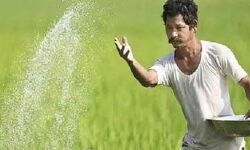 पीएम किसान सम्मान निधि योजना लाभार्थियों को किसान क्रेडिट कार्ड की सुविधा से संतृप्त किया जाएगा